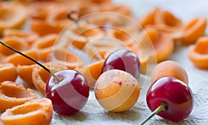 Mellow fresh and sun-dried apricots, juicy cherries prepared for conservation