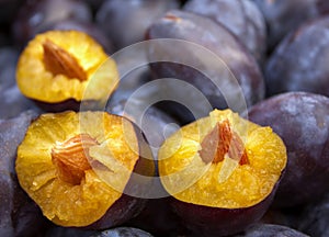 Mellow plums photo