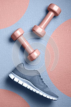 Mellow rose color dumbbells and Skyway color sneakers on the mat flat lay photo