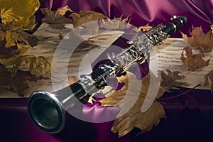 Melody of a mellow autumn