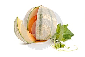 Melon