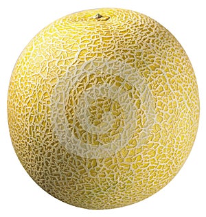 Melon