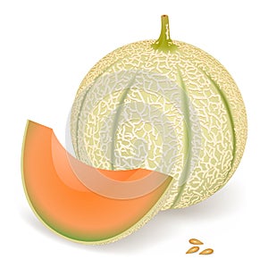 Melón 