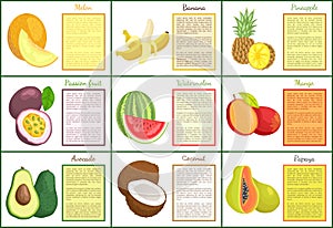 Melon and Banana Watermelon Posters Set Vector