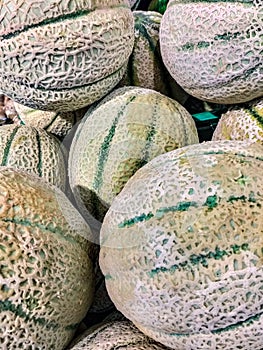 The melon is a climbing plant of the Cucurbitaceae family.  photo