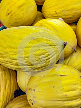 The melon Cucumis melo L., 1753 is a climbing plant of the Cucurbitaceae family [1]. The term melon indicates both the fruit an photo