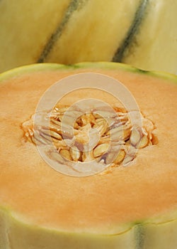 MELON DE CAVAILLON
