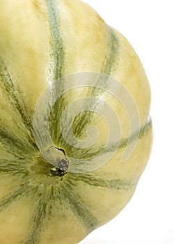 MELON DE CAVAILLON