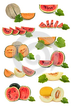 Melon Fruit Collection