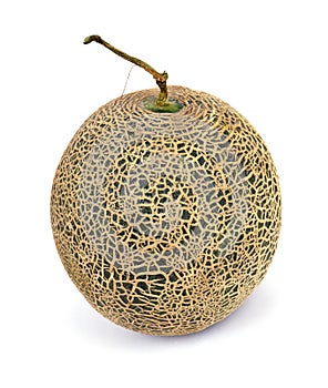 Melon Fruit