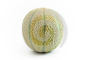 Melon Fruit upright