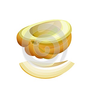 Melon half and slice