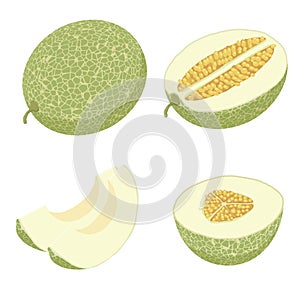 Melon icons set, isometric style