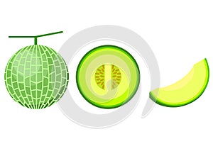 melon illustrations 3 types