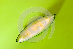 Melon isolated on a green background