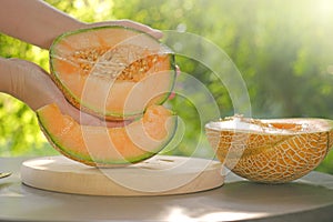 Melon.piece of ripe melon.Melon in a cut in female hands. summer fruits. Women's hands cut a melon in a summer