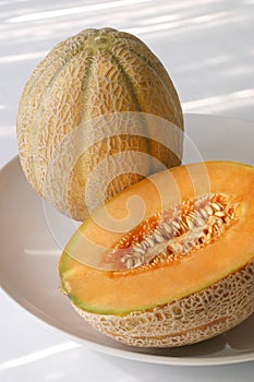 Melon plants in natural light