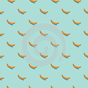 Melon seamless pattern. Vegan organic eco fruit background. vector illustration