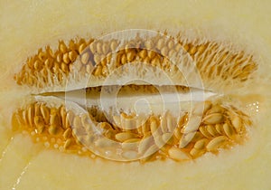 Melon seeds close up