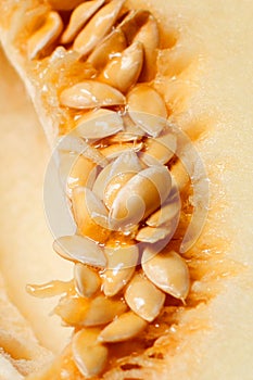 Melon seeds closeup