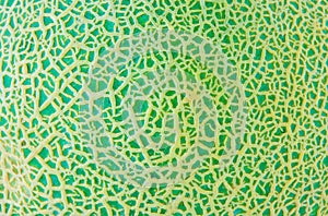 Melon Skin