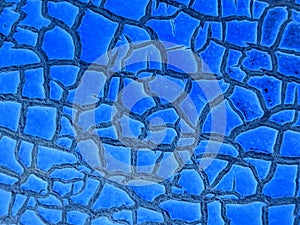 Melon skin texture close up. Summer background