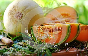 Melon and slices