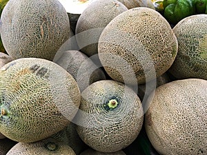 Melon
