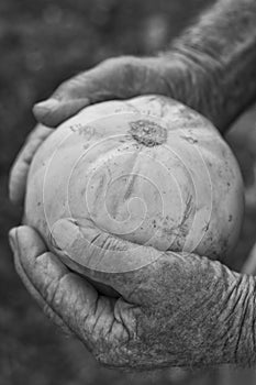 Melon and hands in black and white photo