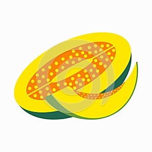 Melon with wedge vector. Isolated element in a flat style on a white background