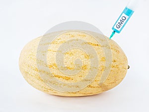 Melon on a white background in which enter gmo and nitrates, close-up, genetically modified organism, melon, nitrates