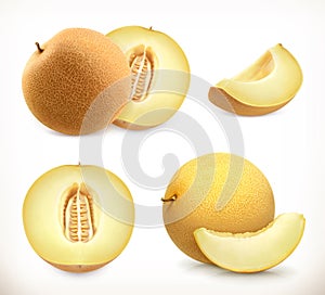 Melon. Whole and pieces. Sweet fruit. 3d vector icons set