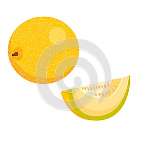 A melon, a whole round yellow melon, and half a melon. vector isolated on a white background