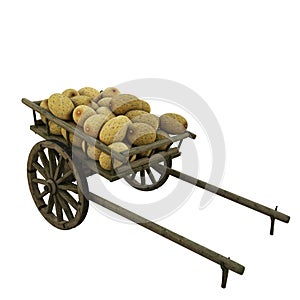 Melon in wooden cart