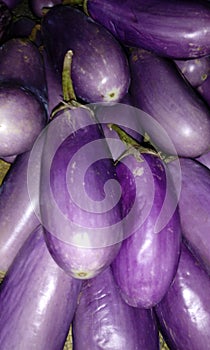 melongena fresh brinjal eggplants