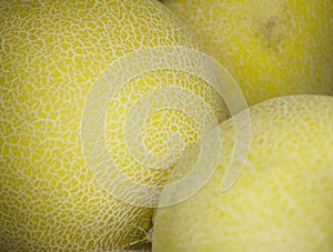 Melons fruit in supermarket grocers