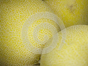 Melons fruit in supermarket grocers photo