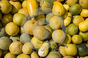 Melons lying on the ground. Spilled fruit of melon.