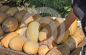 Melons in a spontaneous market by the highway