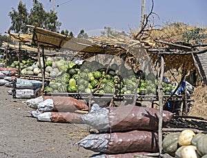 Melons and squashes on a street market