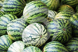 Melons