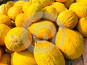 Melons at street bazaar