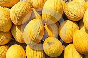 Melons at street bazaar