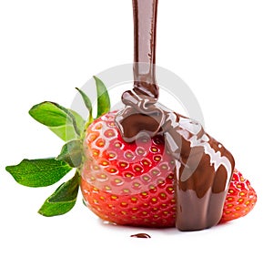 Melted chocolate pouring on fresh strawberry