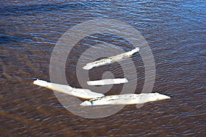 Melted spring ice on river background