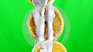 Melted vanilla icecream flowing down and covering halves of fresh cut oranges. Stock clip. Fruits isolated on a green