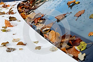 Melting first snow and fall autumn leaves on hood and windshield of car