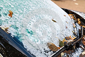 Melting first snow and fall autumn leaves on window of car