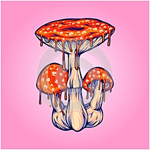 Melting fly amanita mushrooms hallucinogenic spore illustrations