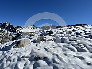 The melting of fresh autumn snow in the wonderful environment of the Swiss mountain massif Abula Alps, Zernez photo